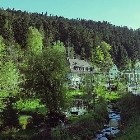 Gut Lauterbad Hotel Freudenstadt Exterior photo