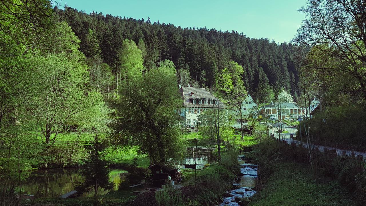Gut Lauterbad Hotel Freudenstadt Exterior photo