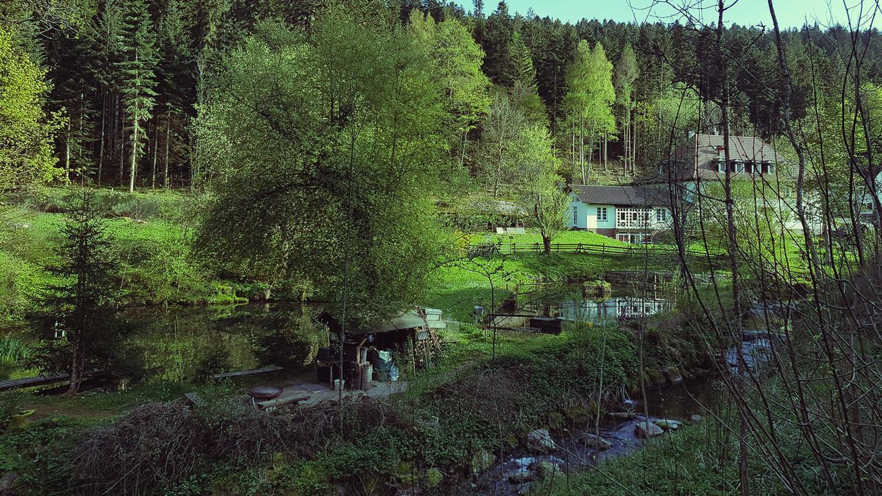 Gut Lauterbad Hotel Freudenstadt Exterior photo